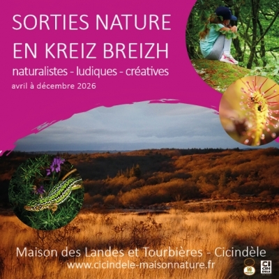 Fin d'été sur la lande